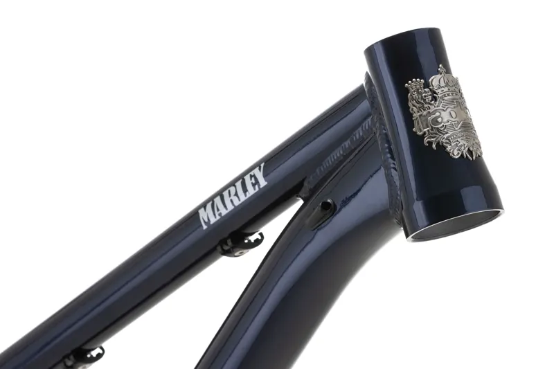 Ragely Marley Hardtail Mountain Bike Frame - Blue-4